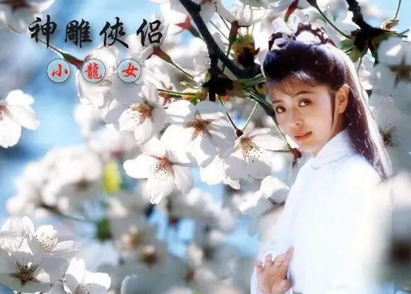 小龙女，全球影响力最大的武侠IP